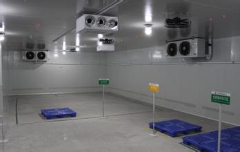 醫(yī)藥冷鏈大型物流冷庫工程設計冷庫建造