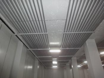 -35℃速凍榴蓮冷庫造價，榴蓮冷庫冷凍設(shè)備