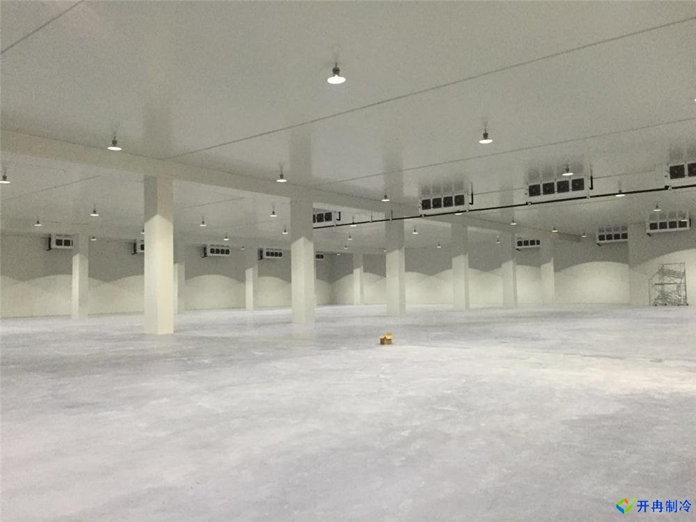 浙江建-60℃金槍魚超低溫冷庫(kù)，冷庫(kù)總價(jià)預(yù)算多少