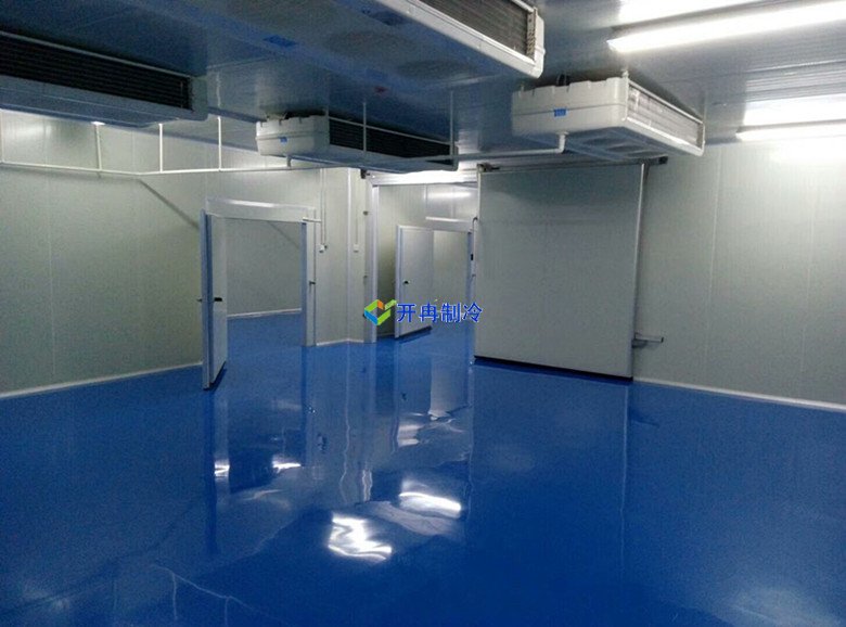 -30℃～-80℃血漿蛋白低溫冷凍庫(kù)規(guī)范，冷庫(kù)安裝價(jià)格
